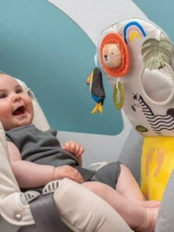 Tableau De Voiture Savane - TAF TOYS Multicolore - Taf Toys -Maison tableau de voiture savane taf toys 2